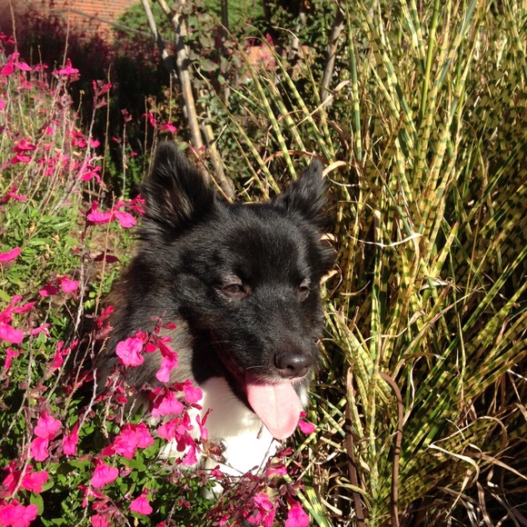 Meet your Posher, Karen - Picture 8 of 8